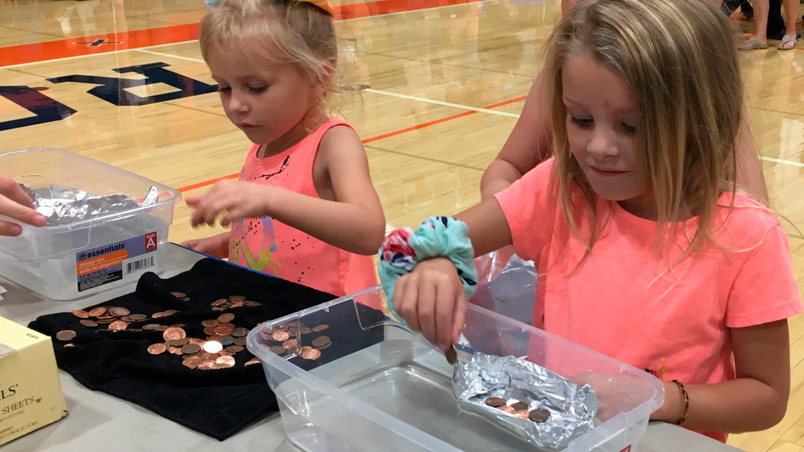 Rochester STEM Fair 2019 Large Twins